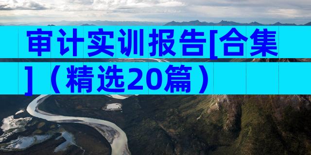审计实训报告[合集]（精选20篇）